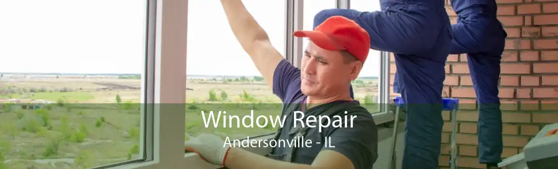 Window Repair Andersonville - IL