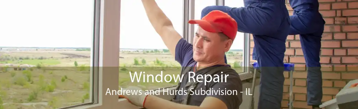 Window Repair Andrews and Hurds Subdivision - IL