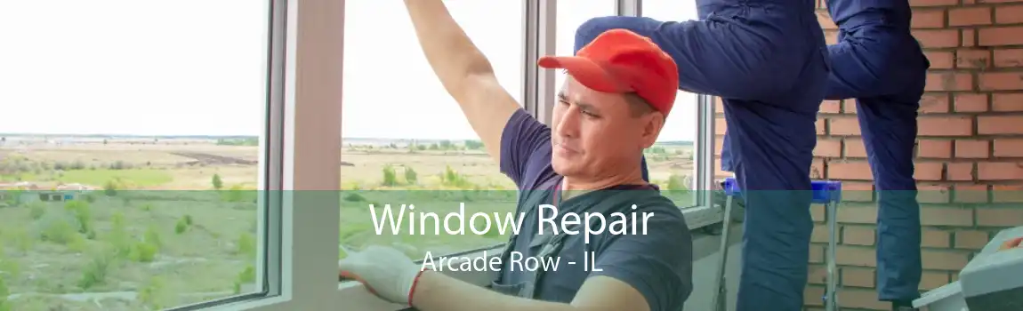 Window Repair Arcade Row - IL