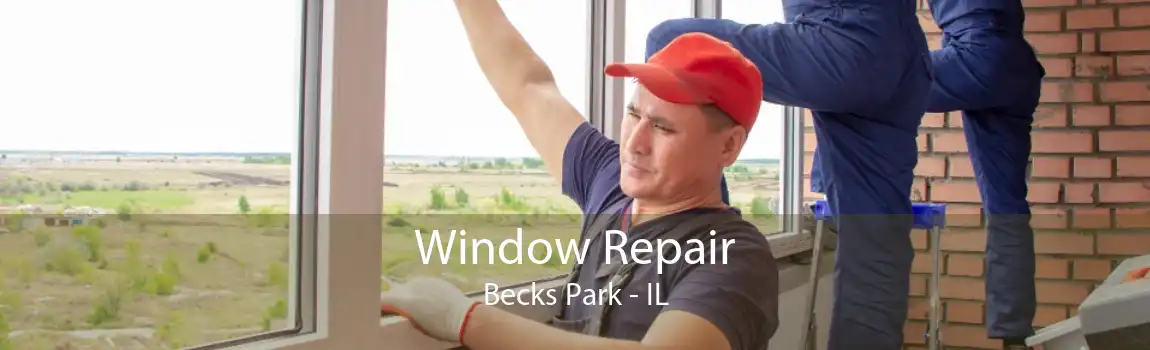 Window Repair Becks Park - IL