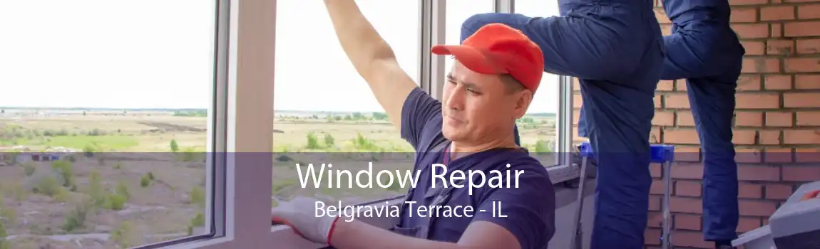 Window Repair Belgravia Terrace - IL