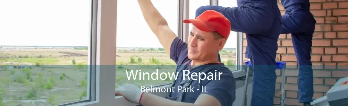 Window Repair Belmont Park - IL