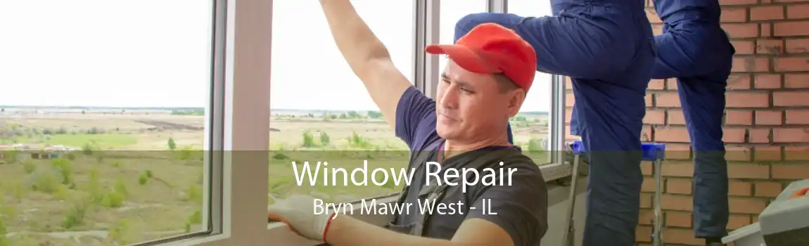 Window Repair Bryn Mawr West - IL