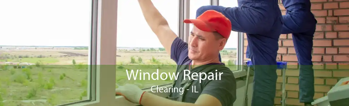 Window Repair Clearing - IL