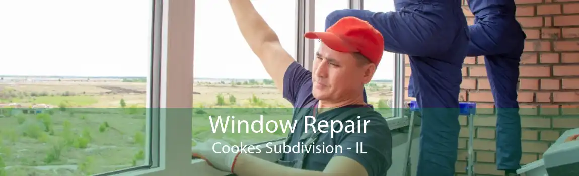 Window Repair Cookes Subdivision - IL