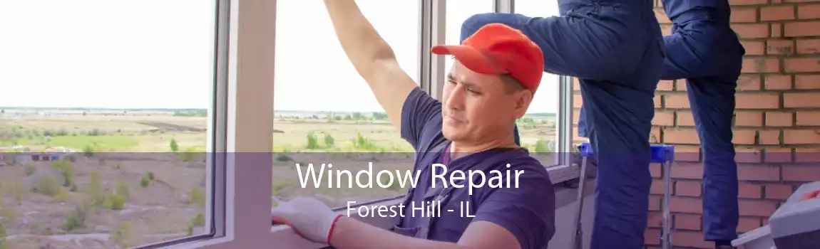 Window Repair Forest Hill - IL