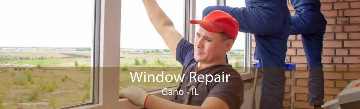 Window Repair Gano - IL