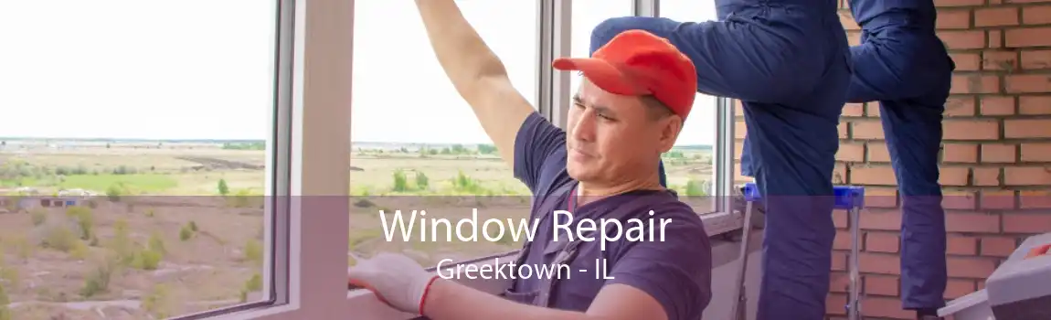 Window Repair Greektown - IL