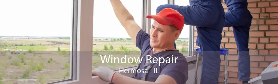 Window Repair Hermosa - IL