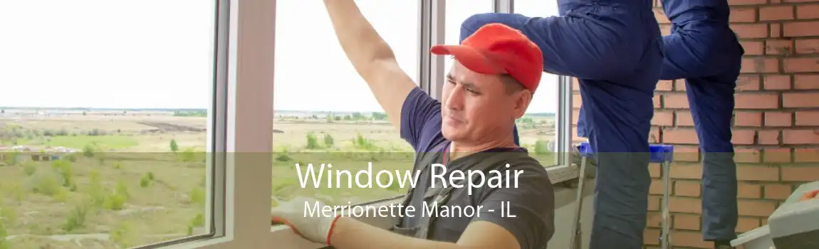 Window Repair Merrionette Manor - IL