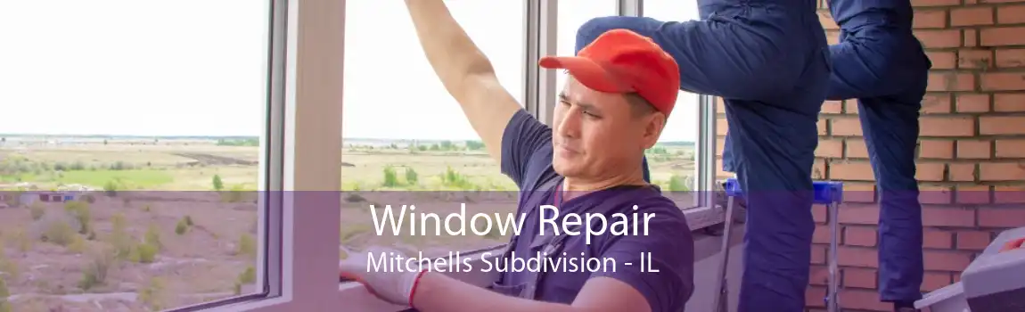 Window Repair Mitchells Subdivision - IL