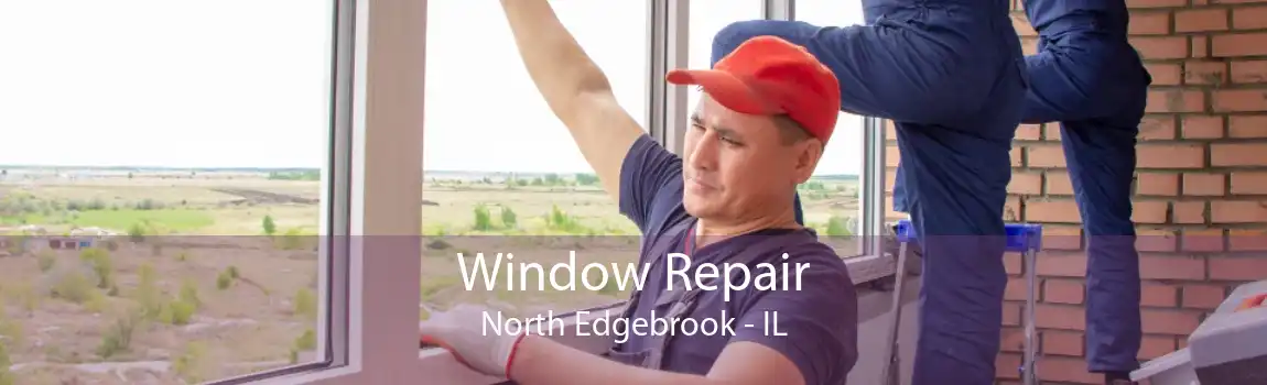 Window Repair North Edgebrook - IL