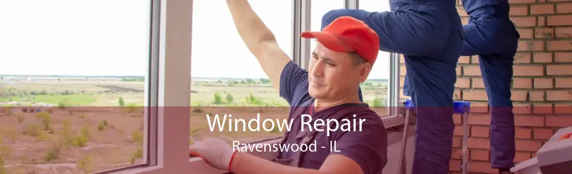 Window Repair Ravenswood - IL