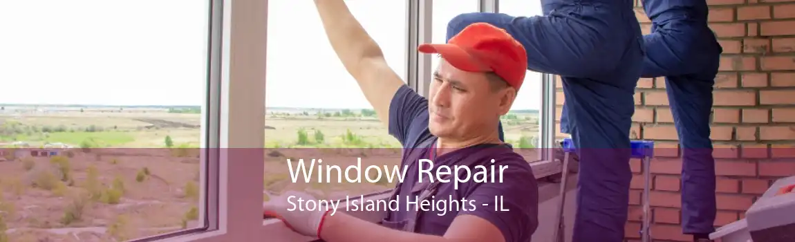 Window Repair Stony Island Heights - IL