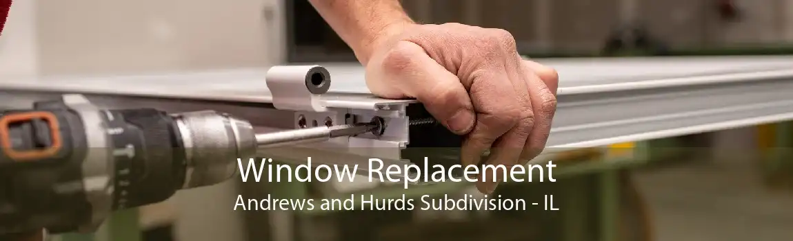 Window Replacement Andrews and Hurds Subdivision - IL