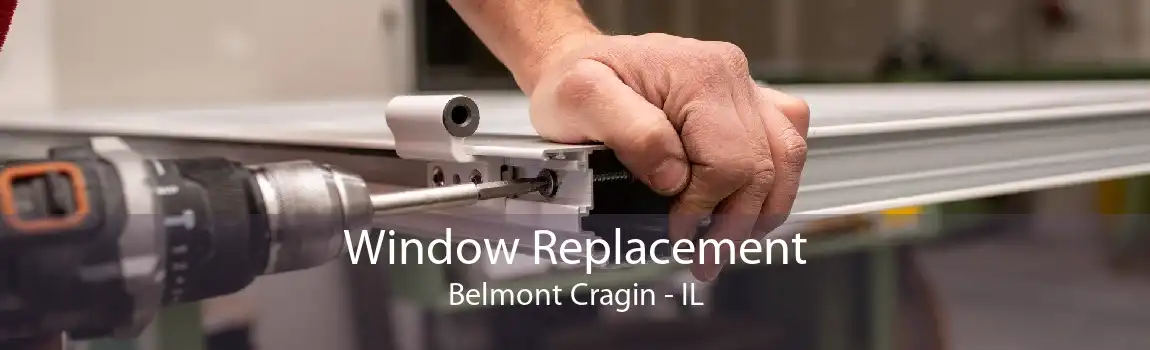 Window Replacement Belmont Cragin - IL