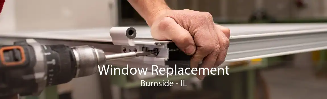 Window Replacement Burnside - IL