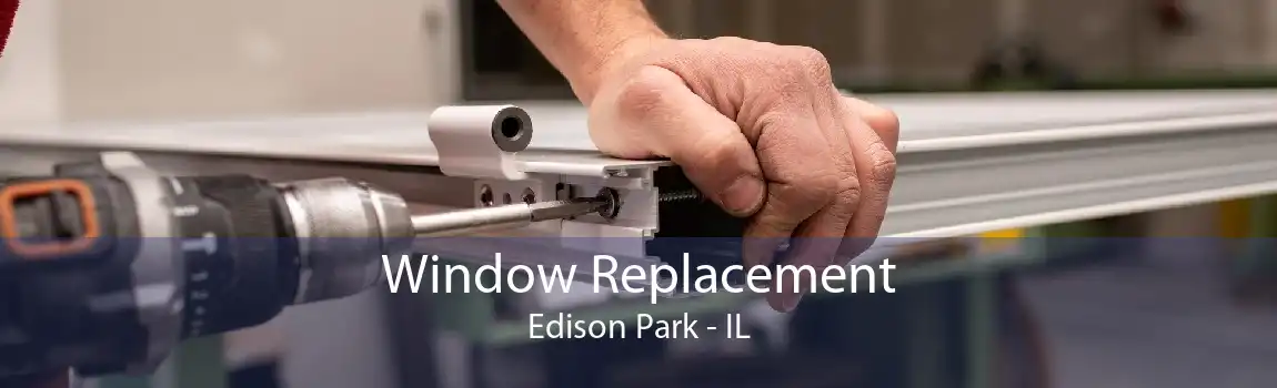 Window Replacement Edison Park - IL