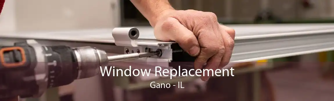 Window Replacement Gano - IL