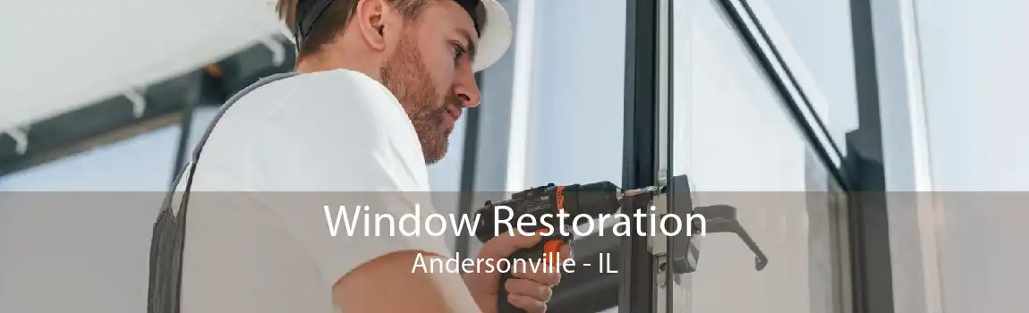 Window Restoration Andersonville - IL