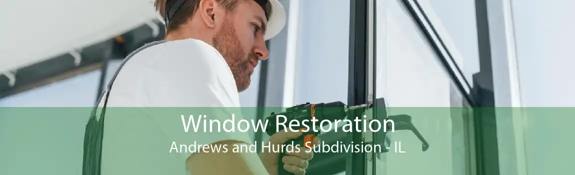 Window Restoration Andrews and Hurds Subdivision - IL