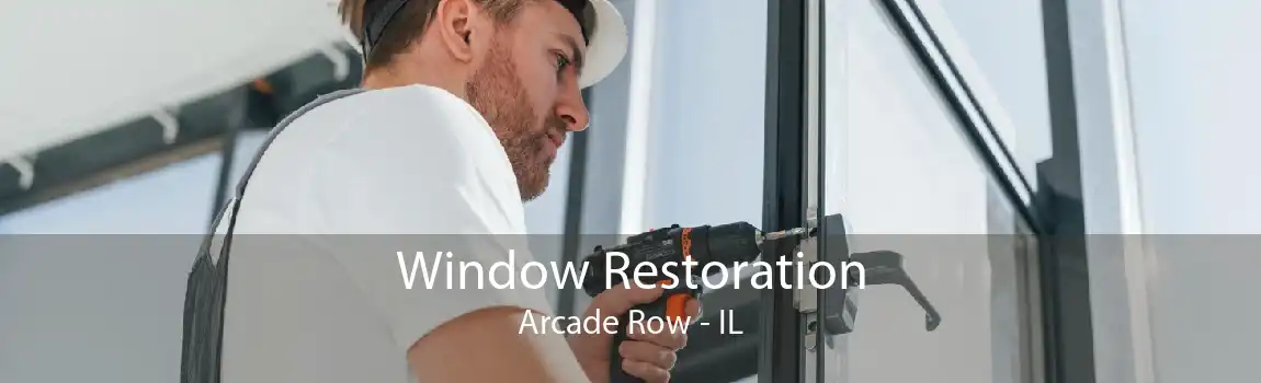 Window Restoration Arcade Row - IL