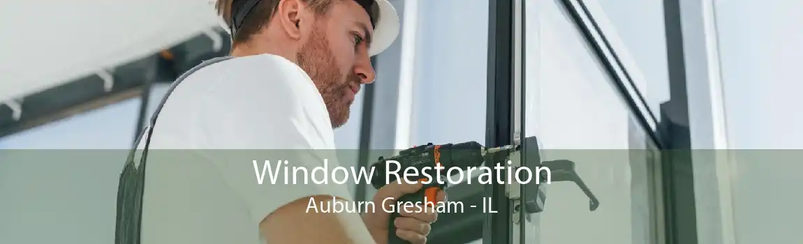 Window Restoration Auburn Gresham - IL