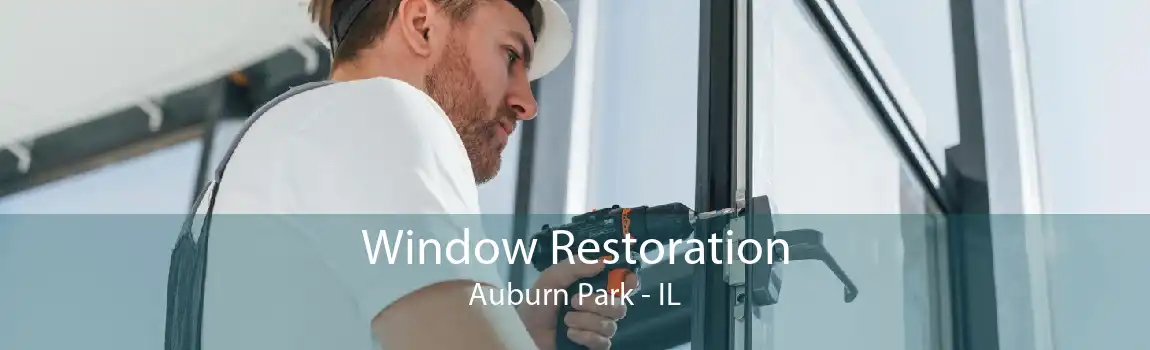 Window Restoration Auburn Park - IL