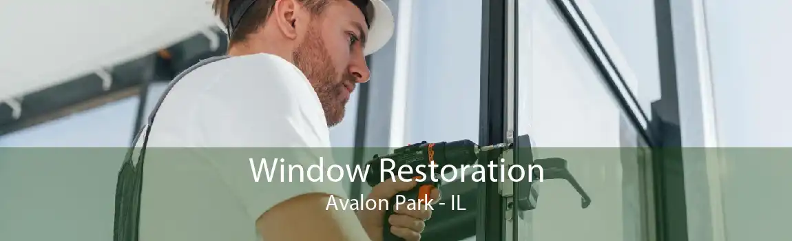 Window Restoration Avalon Park - IL