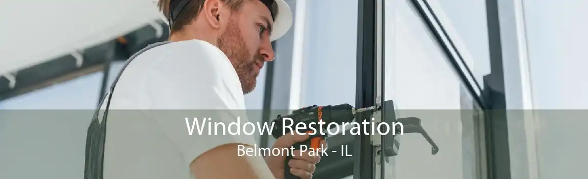 Window Restoration Belmont Park - IL