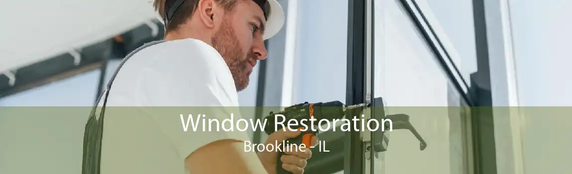 Window Restoration Brookline - IL