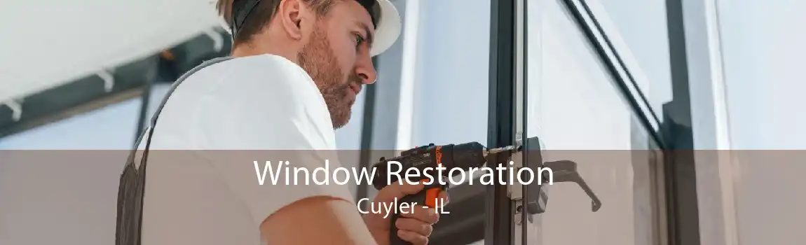 Window Restoration Cuyler - IL