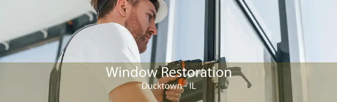 Window Restoration Ducktown - IL