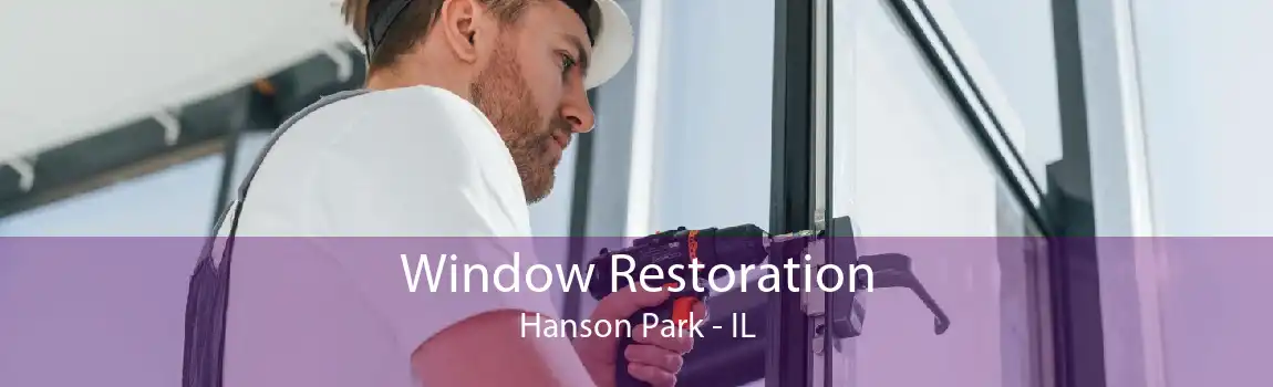 Window Restoration Hanson Park - IL