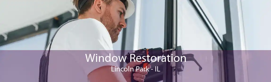 Window Restoration Lincoln Park - IL