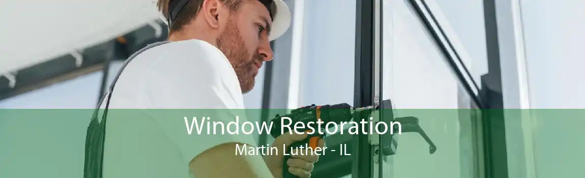 Window Restoration Martin Luther - IL