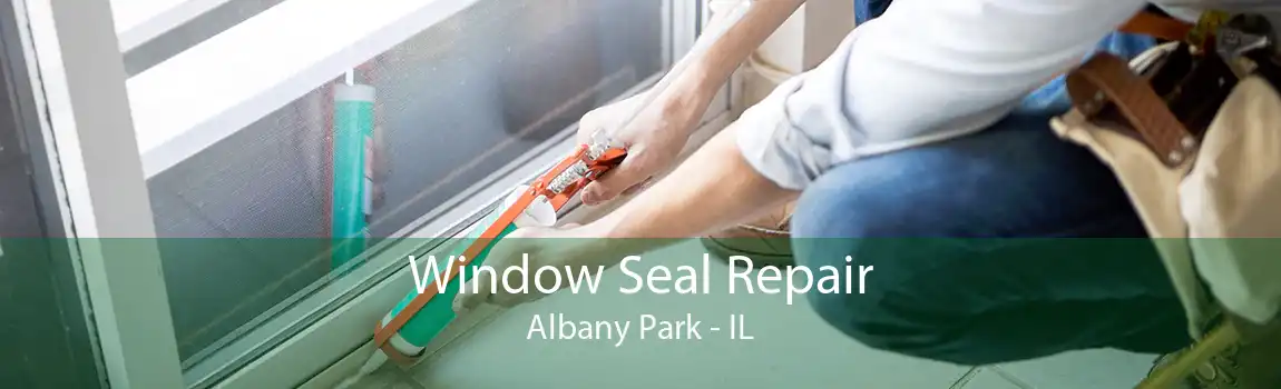 Window Seal Repair Albany Park - IL