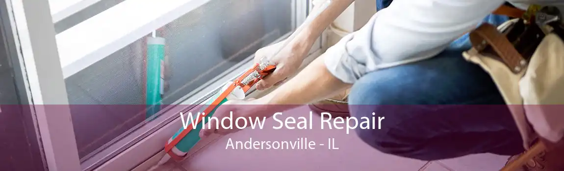 Window Seal Repair Andersonville - IL