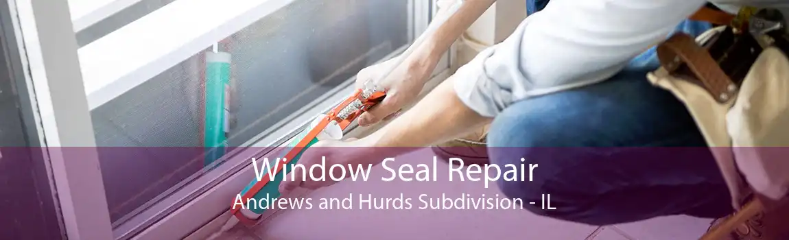 Window Seal Repair Andrews and Hurds Subdivision - IL