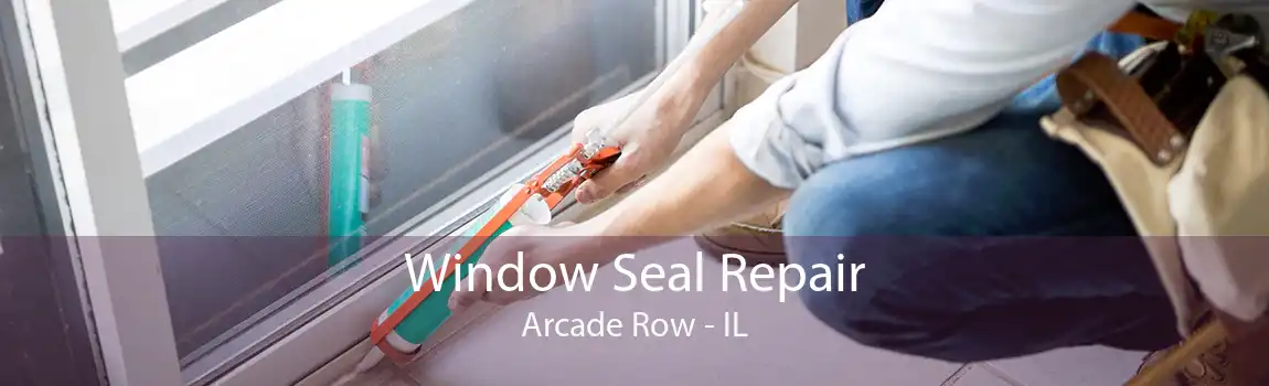 Window Seal Repair Arcade Row - IL