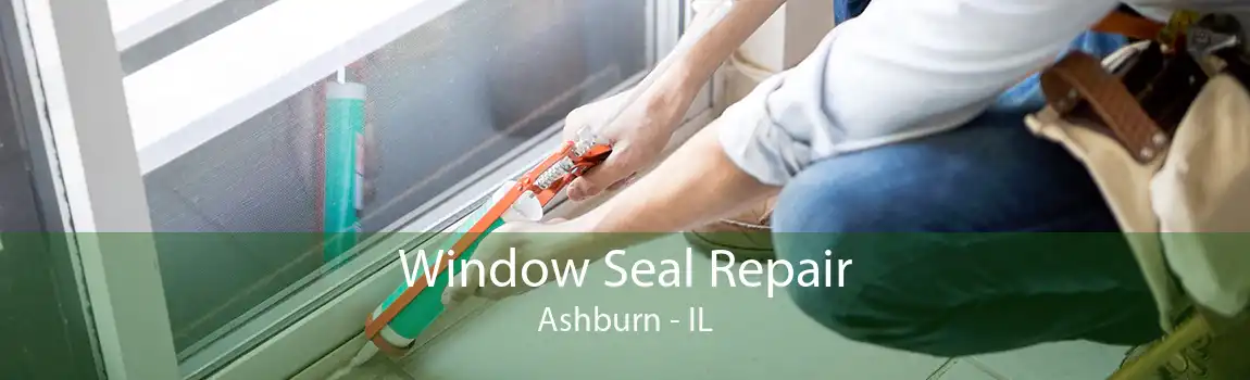 Window Seal Repair Ashburn - IL