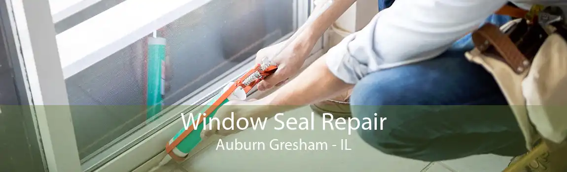 Window Seal Repair Auburn Gresham - IL