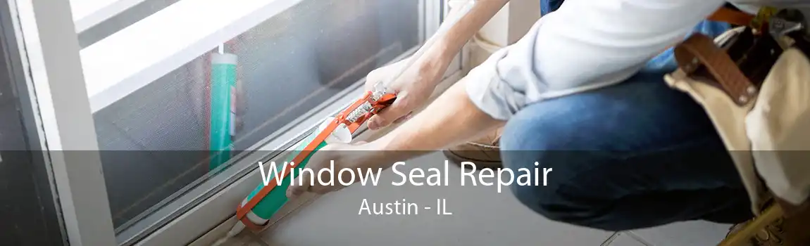 Window Seal Repair Austin - IL