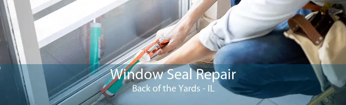 Window Seal Repair Back of the Yards - IL