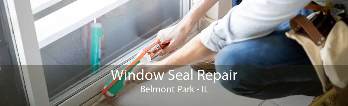 Window Seal Repair Belmont Park - IL