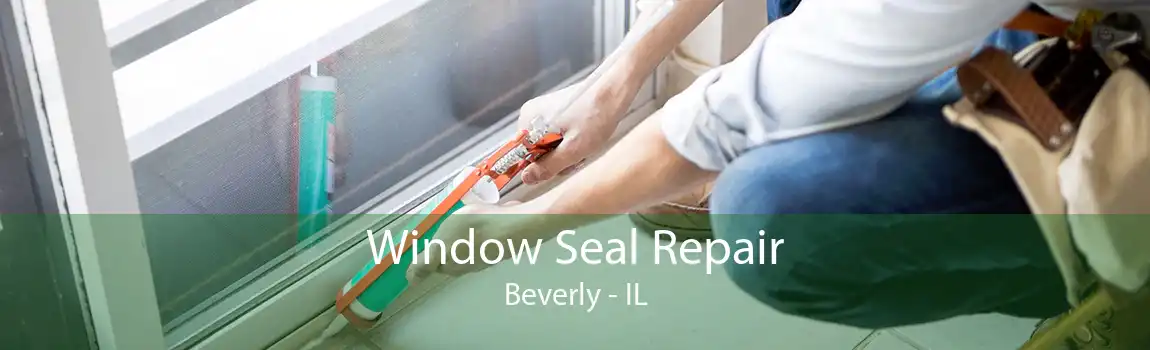 Window Seal Repair Beverly - IL