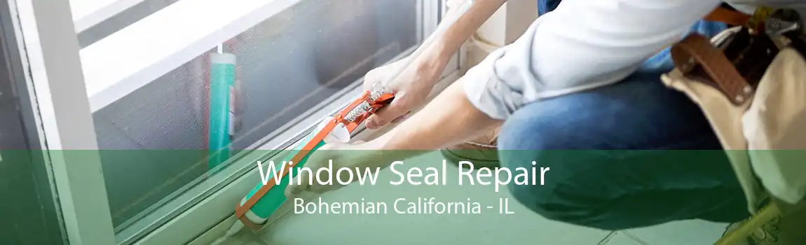 Window Seal Repair Bohemian California - IL