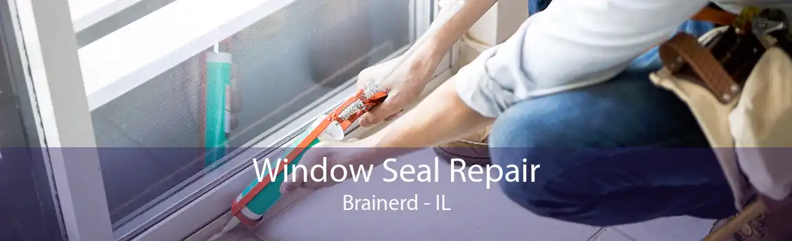 Window Seal Repair Brainerd - IL