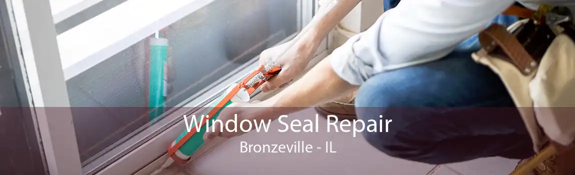 Window Seal Repair Bronzeville - IL