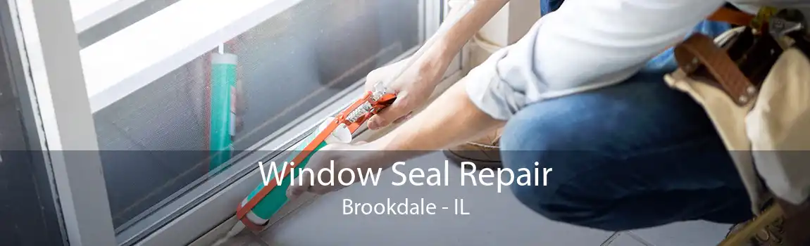 Window Seal Repair Brookdale - IL